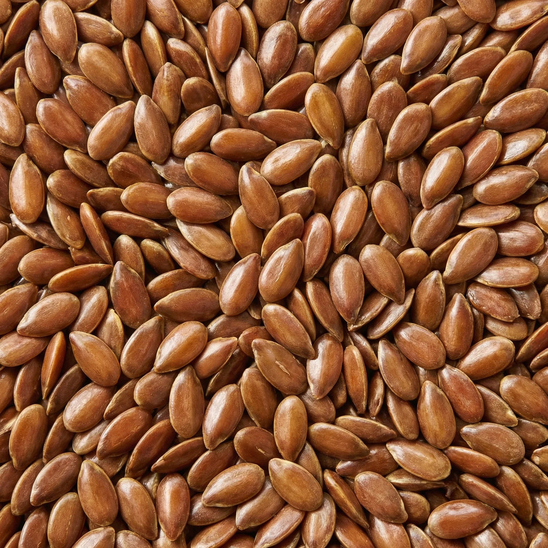 Seed cycling: wat is het en werkt het voor je cyclus?
